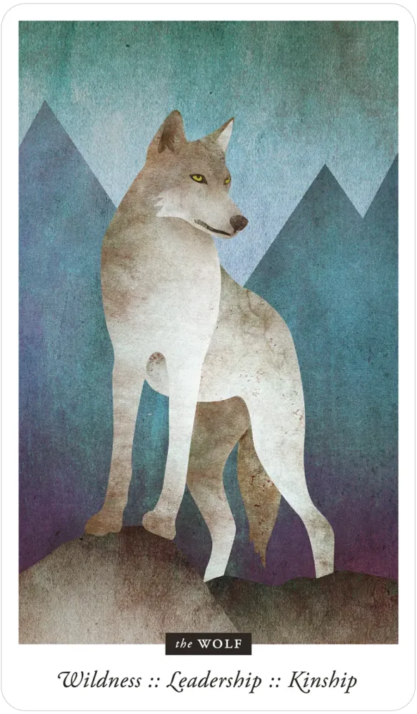Familiar Field Oracle Cards